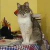 Отзыв от Наталья Мешкова